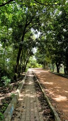 Obraz premium Portrait view of walking lane of Agara lake. Well maintained lakes and Part of Varthur lake series
