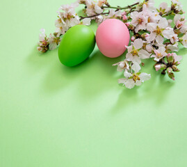 Easter egg and almond blossom. Spring nature flat lay, pastel green background.