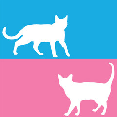 Opposite White Cats over blue and pink colors. Minimalist pet art with a beautiful contrast of bright colors.