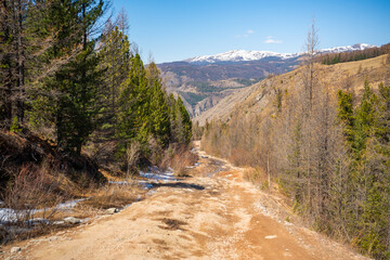 Fototapeta na wymiar Road uphill with large stones in the background of the forest and mountains, off-road in Altai, Russia
