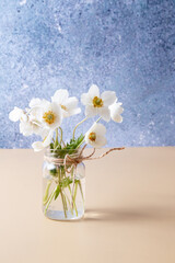Anemones flower bouquet greetings with spring, for Mother's Day or March 8
