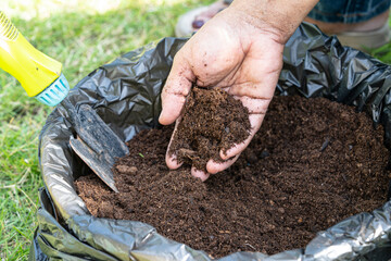 Hand holding peat moss organic matter improve soil for agriculture organic plant growing, ecology...