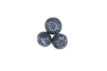 looking straight down on a grouping of three blueberries