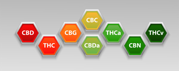 Cannabinoid Guide infographic chart. show main compound cannabinoid from cannabis, hemp, marijuana or marihuana leaves. Chemical compound of cannabis with hexagon frame. initials,cbd,thc,thca,cbg,cbn,