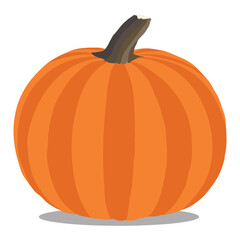 A attractive pumpkin vegetable vector art work.  