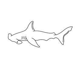 Vector isolated one single swimming floating hammer head side view colorless black and white contour line easy drawing