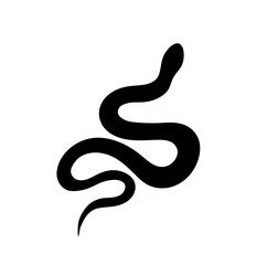 Vector isolated one single crawling snake top view bottom view colorless black and white outline silhouette shadow shape