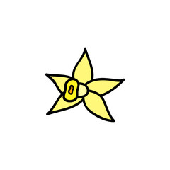 Doodle vanilla flower.