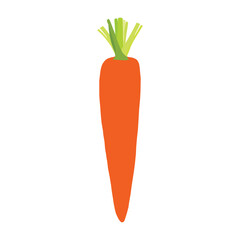 A beautiful carrot vector art work. 