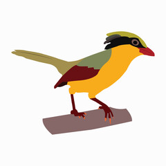 A beautiful color bird vector art work. 