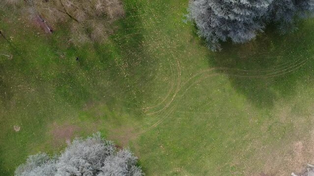 Ripresa aerea girata con il drone. In questo video il drone compie una spirale in volo tra gli alberi durante la fase di atterraggio