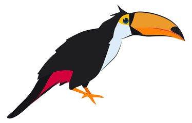 Toucan icon. Exotic wild bird. Zoo animal