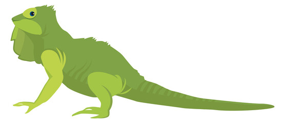 Green lizard. Iguana icon. Funny reptile animal