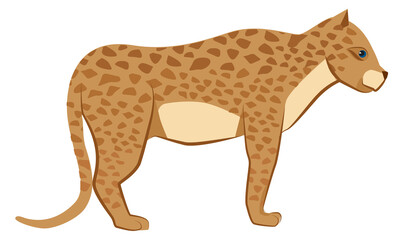 Leopard icon. Wild cat animal. Jungle predator