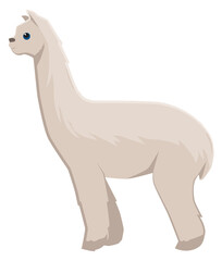 Alpaca icon. Wild llama animal. Zoo fauna