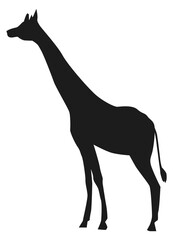 Giraffe black silhouette. Safari animal symbol. Zoo icon