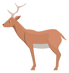 Deer icon. Cute forest animal. Woodland fauna