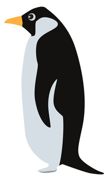 Penguin icon. Antarctic fauna symbol. Cute bird