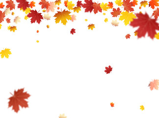Fototapeta na wymiar Autumn falling leaves on transparent background PNG template. Autumn Leaf PNG