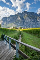 Piana Rotaliana