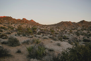 Desert at sunset