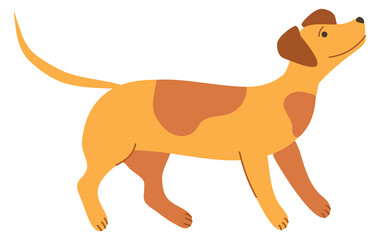 Funny dog standing. Cute friendly brown pet