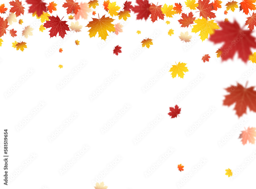 Canvas Prints autumn falling leaves on white background vector template. autumn leaf vector