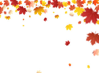 Autumn falling leaves on white background vector template. Autumn Leaf vector