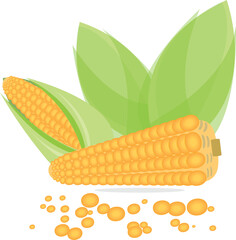 Obraz premium Corn cartoon illustration, Transparent background