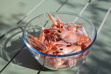 A glass bowl with fresh living prawns still raw and captured in the atlantic ocean at the Brittany coast in France