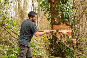 Fototapete bei efototapeten.de bestellen   