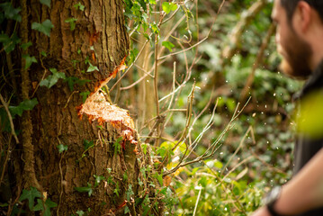 Fototapete bei efototapeten.de bestellen   