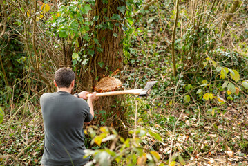 Fototapete bei efototapeten.de bestellen   