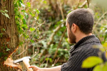 Fototapete bei efototapeten.de bestellen   