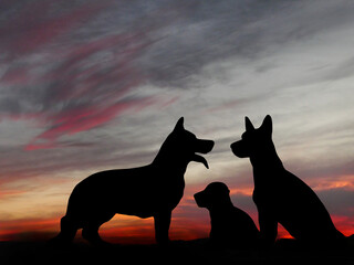 Silhouette einer Hundefamilie im Sonnenuntergang