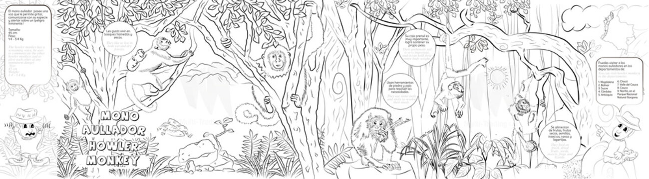 Mono aullador, cuento creado en colombia