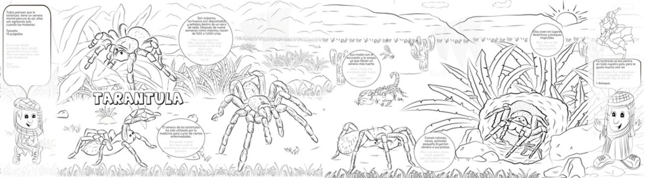 Tarantula, cuento creado en colombia