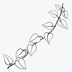 Floral ivy drawing decorative ornament flat design.