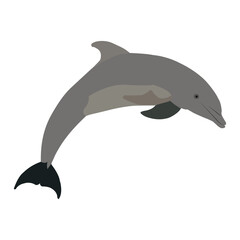 A beautiful dolphin fish vector art work.