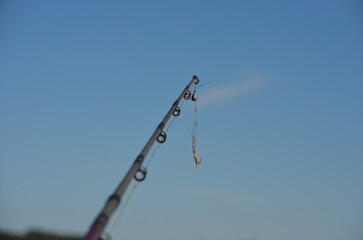 fishing pole on lake