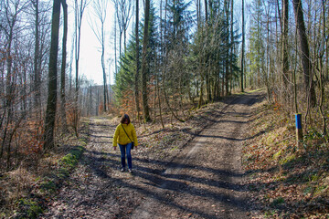 Wandern durch den Teutoburger Wald