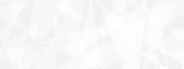 Abstract modern white and grey geometric banner background.