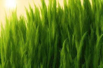 Obraz premium Breathtaking Landscapes with Blue Skies and Green Forests