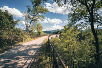 road in the forest