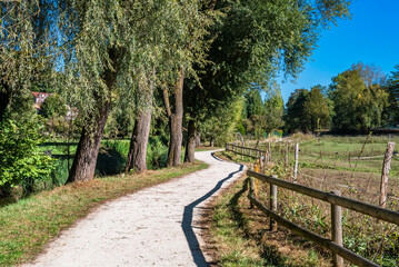 Fototapeta na wymiar chemin de randonnée à Buc, Yvelines
