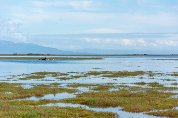 Playa de Coihuin, Puerto Montt sur de Chile.