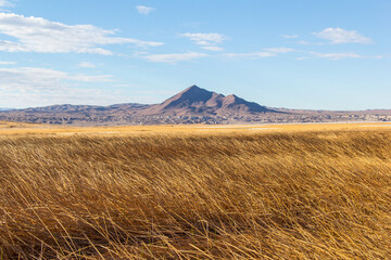Tall golden grass and a sharp pointy mountain in the distance