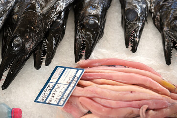Heads of the saberfish (espada) for sale