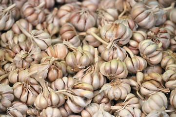Large stocks of garlic in the store