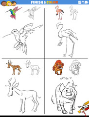 drawing and coloring worksheets set with wild animals